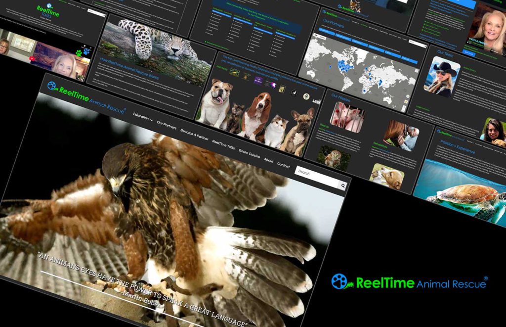 Reeltime Animal Rescue — reeltimeparts design by Joe Scheirich Media
